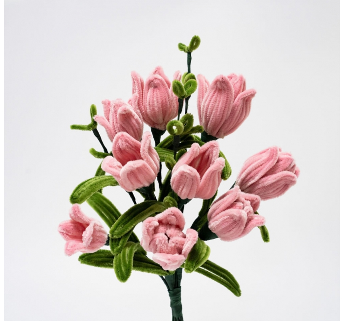 情人节花束套装（红粉玫瑰）